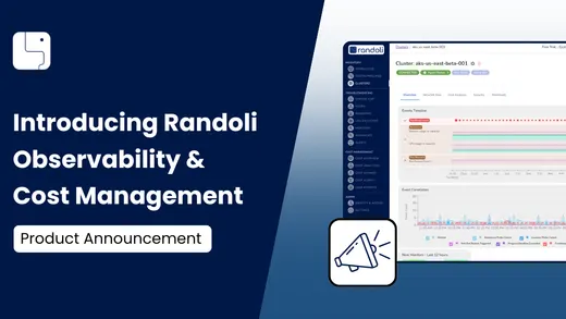 Introducing Randoli Observability and Cost Management