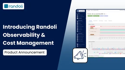 Introducing Randoli Observability and Cost Management